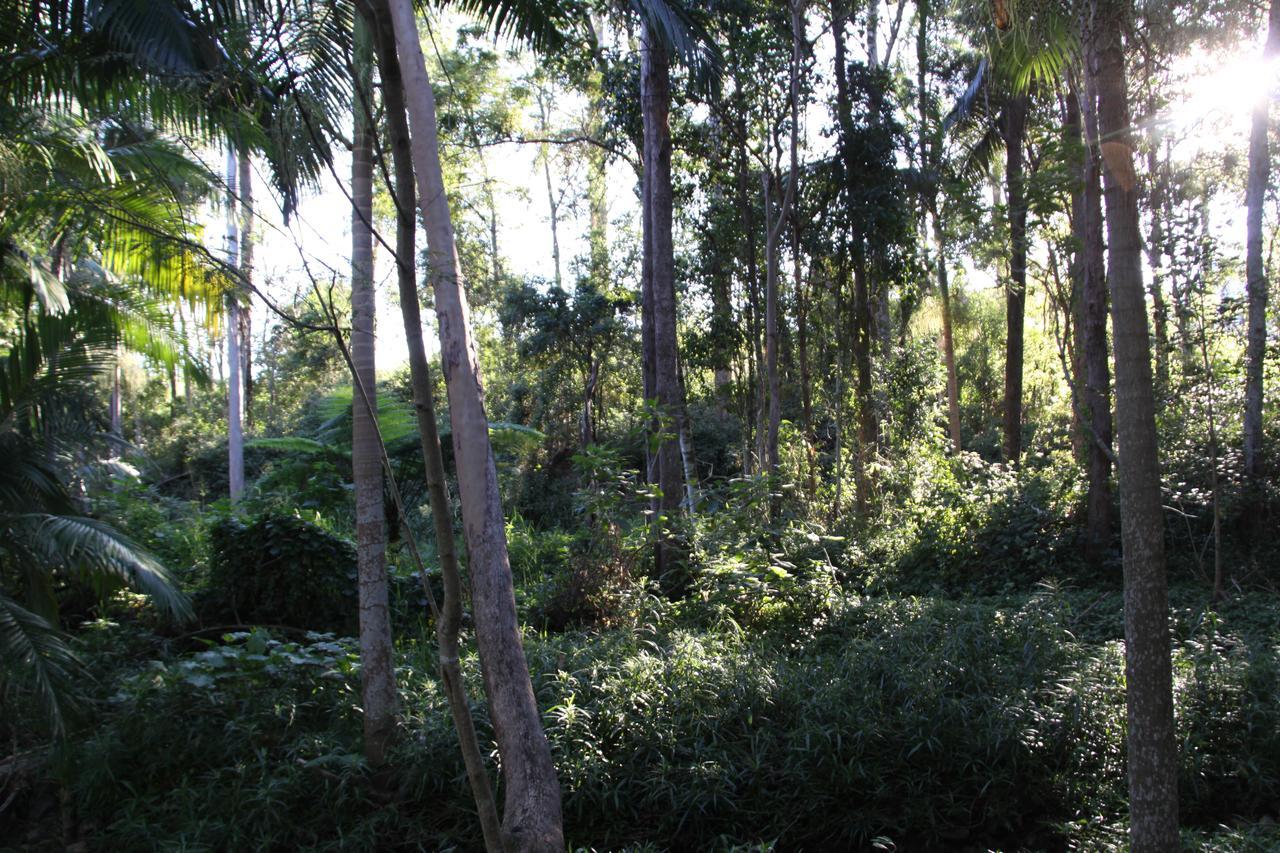 Paperbark Bed & Breakfast 브리즈번 외부 사진
